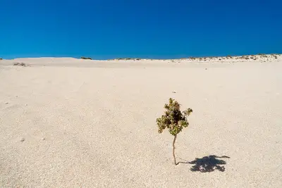 Corralejo Dunes Natural Park, Fuerteventura